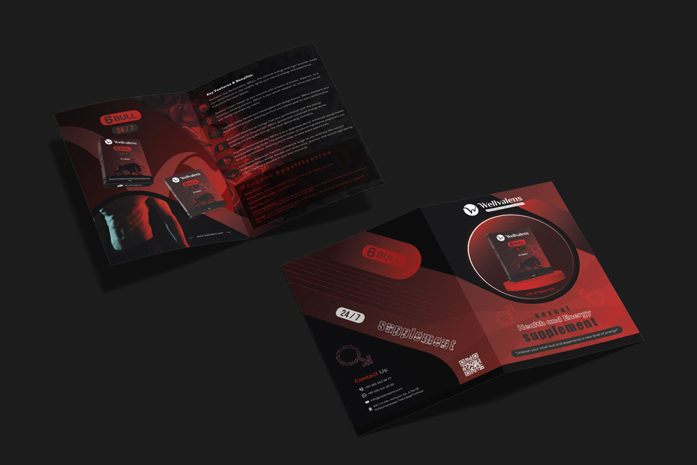 6bull-24-7-brochure-3d-render